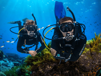 DiversInnMX, All-Inclusive 5 Star PADI Resort