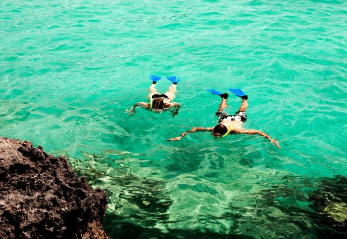 snorkeling in Baja Sur on the Sea of Cortez with DiversInnMX snorkeling in Baja Sur on the Sea of Cortez with DiversInnMX