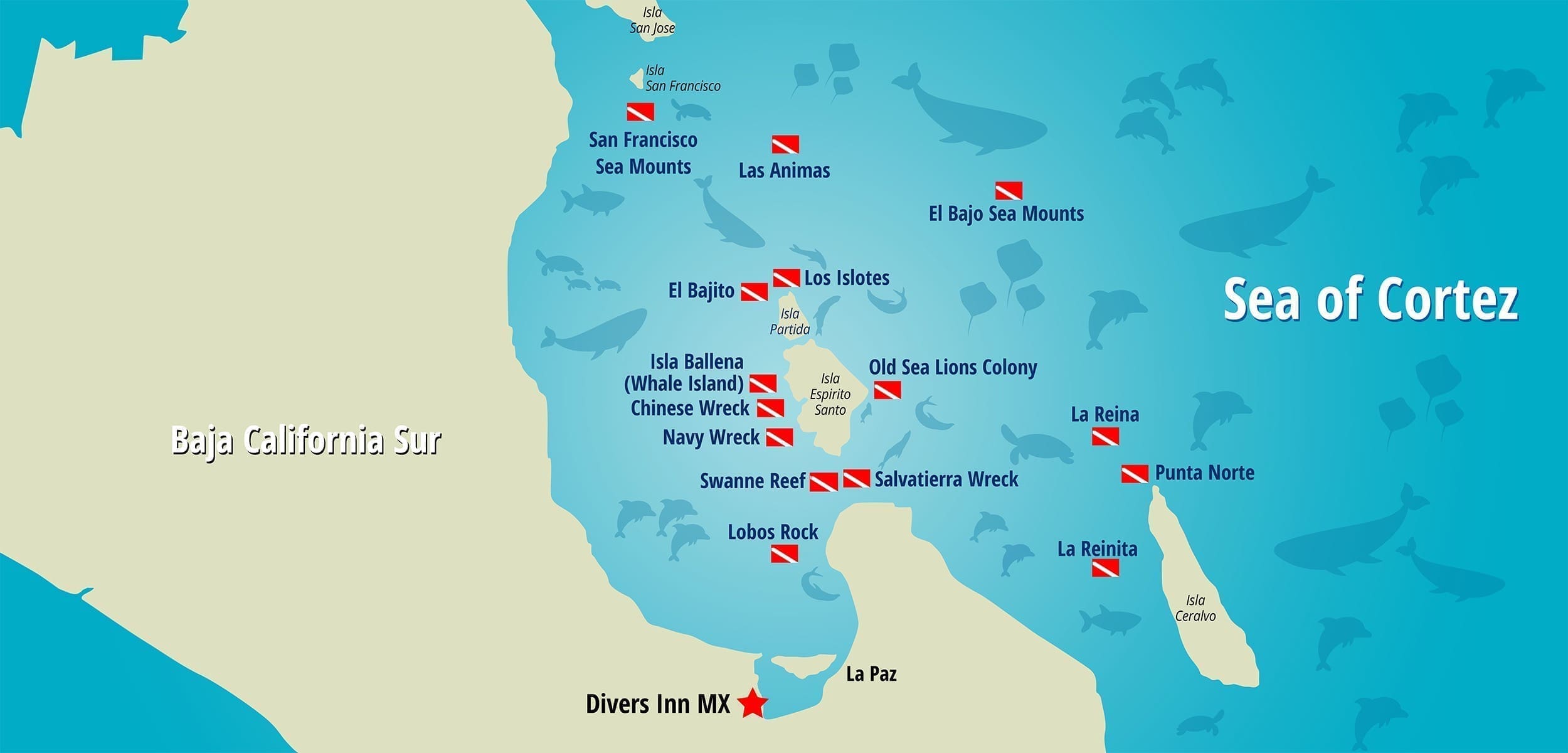 Dive locations in the Sea of Cortez with DiversInn MX Dive locations in the Sea of Cortez with DiversInn MX