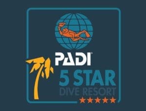 Image 100 Elite PADI Instructor