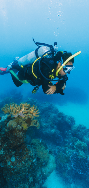 DiversInnMX, All-Inclusive 5 Star PADI Resort DiversInnMX, All-Inclusive 5 Star PADI Resort