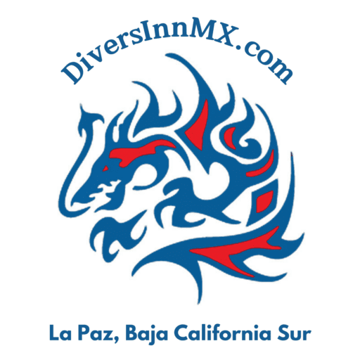 cropped-Heading.png DiversInn old LOGO