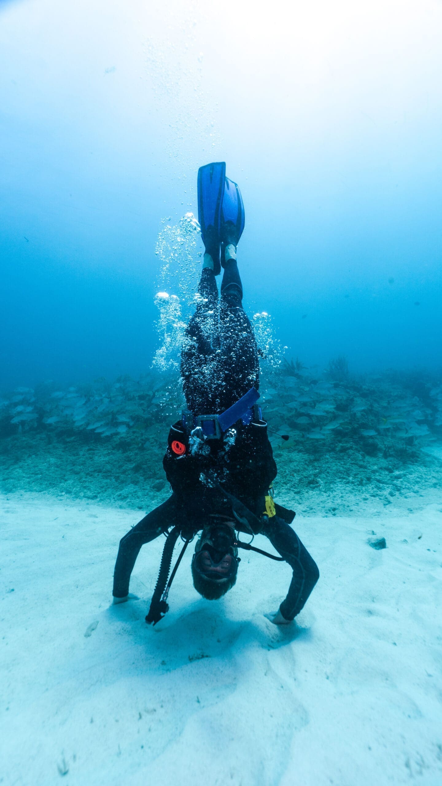 diver doing yoga underwater playing DiversInnMX 5 Star PADI Resort