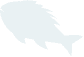 swiming-fish4