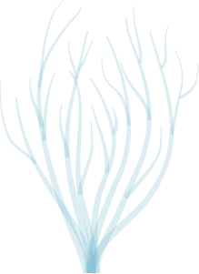 swiming-vector9