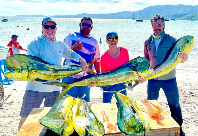 deep-sea fishing in the calm waters of the Sea of Cortez with DiversInnMX deep-sea fishing in the calm waters of the Sea of Cortez with DiversInnMX