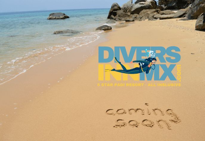 Activies at DiversInnMX coming soon!