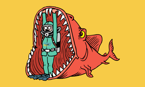 Signup for Newsletters and perks at DiversInnMX