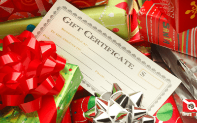 Dive Into Memories that Last Forever