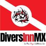 DiversInnMX DIMX header logo small