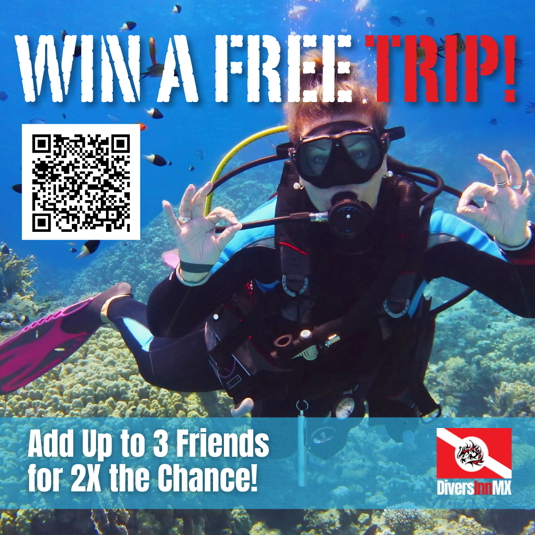 Win a FREE Dive! copy 2 Win a free dive trip