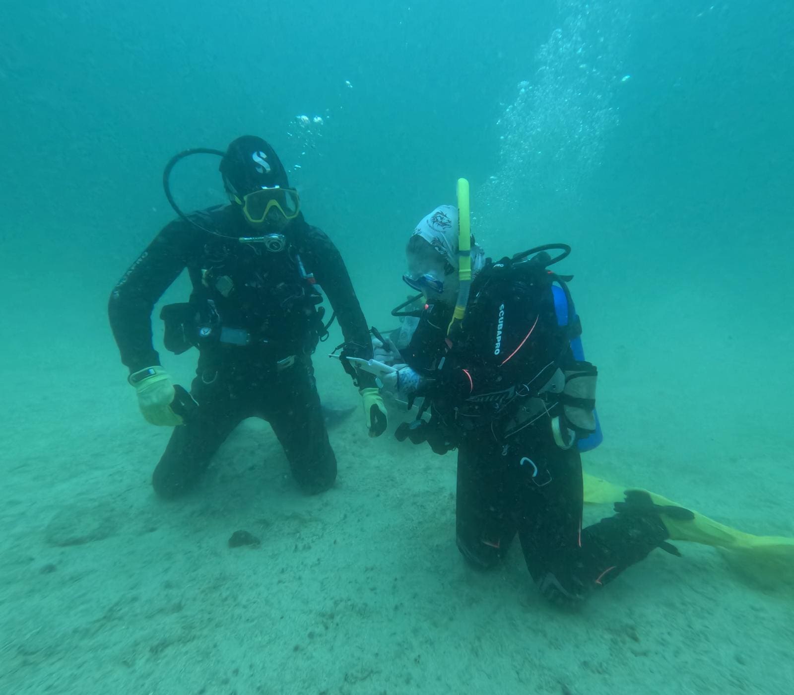 PADI Jr. Divemaster Program