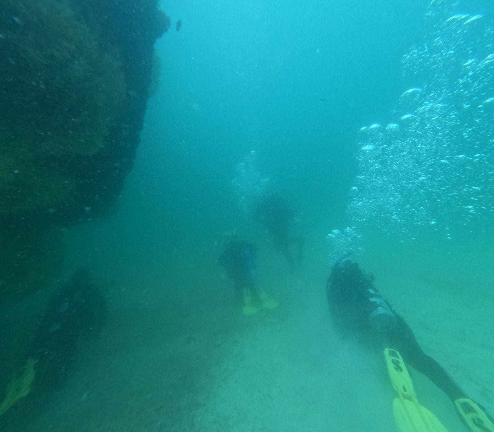 PADI Jr. Divemaster Program