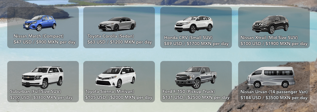 seahorse rates<br />
