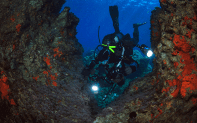 Baja Diving Events|PADI Workshops