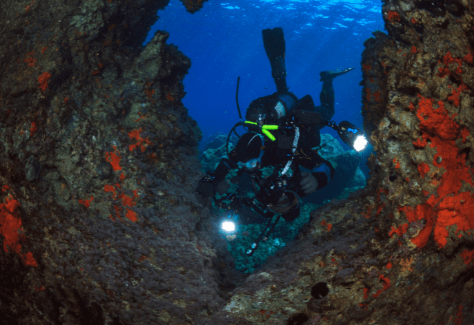Baja Diving Events & PADI Workshops