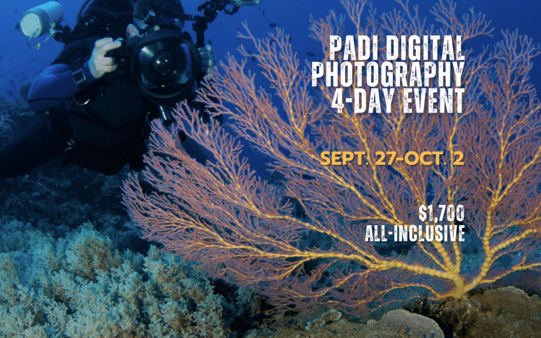 PADI underwater photography workshop