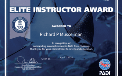 Elite. One hundred times over.