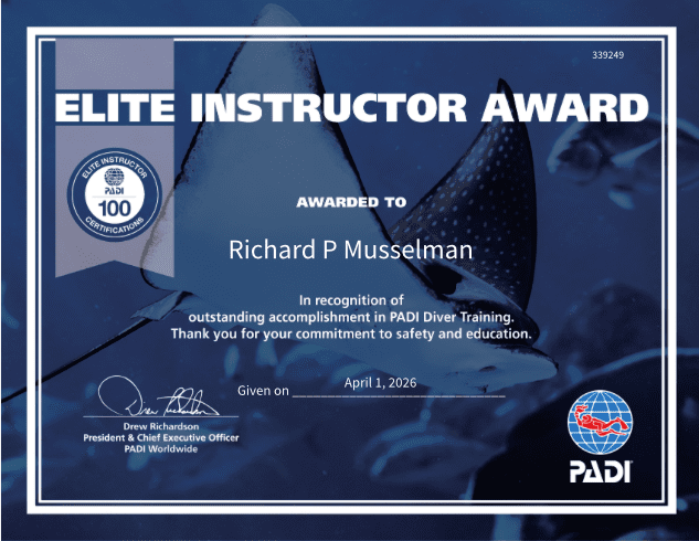 Elite. One hundred times over.