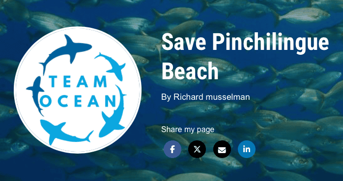 Save Pinchilingue Beach | PADI AWARE Save Pinchilingue Beach | PADI AWARE