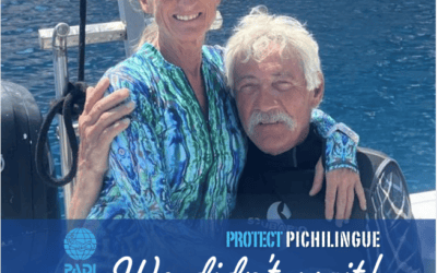We Did Not Wait for Someone Else to Protect Pichilingue